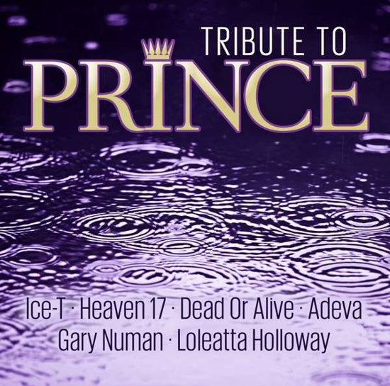 Various Artists · Tribute to Prince (CD) (2018)