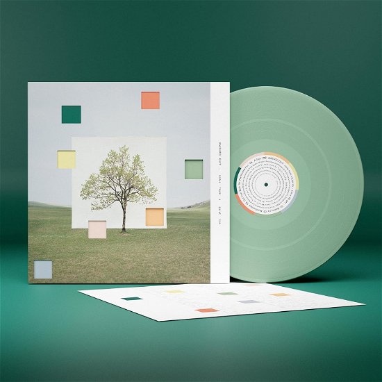 Washed out · Notes From A Quiet Life (Loser Edition) (Yellowy Green Vinyl) (LP) [Loser edition] (2024)