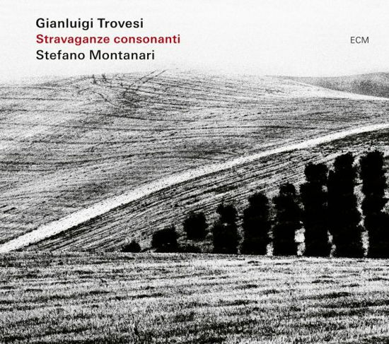 Stravaganze Consonanti - Gianluigi Trovesi & Stefano Montanari - Musik - ECM - 0602448286000 - 24. februar 2023