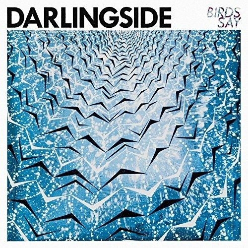 Cover for Darlingside  · Birds Say (VINYL)