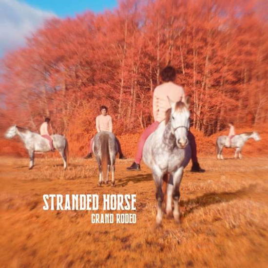 Grand Rodeo - Stranded Horse - Music - ICI D'AILLEURS - 3521381566000 - November 26, 2021