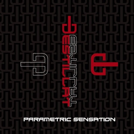 Cover for Destillat · Parametric Sensation (CD) (2021)