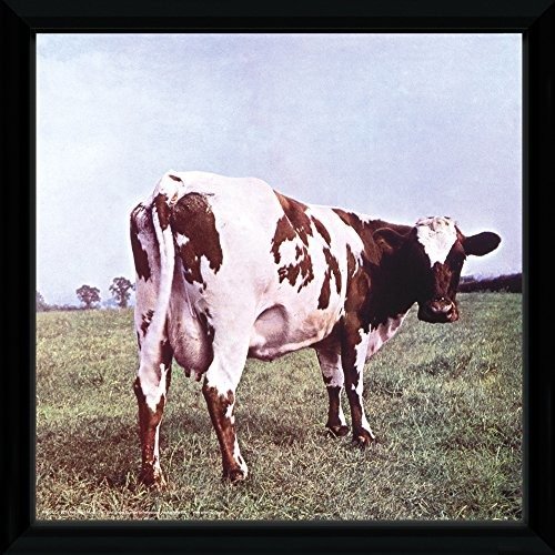 Cover for Pink Floyd · Pink Floyd: Atom Heart (Stampa In Cornice 30x30 Cm) (MERCH)