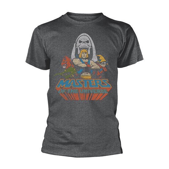 Cover for Masters of the Universe · Team He-man (T-shirt) [size S] (2022)