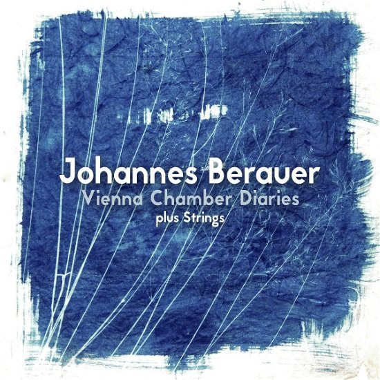 Cover for Johannes Berauer · Vienna Chamber Diaries Plus Strings (CD) (2022)