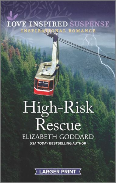 Cover for Elizabeth Goddard · High-Risk Rescue (Paperback Book) (2022)