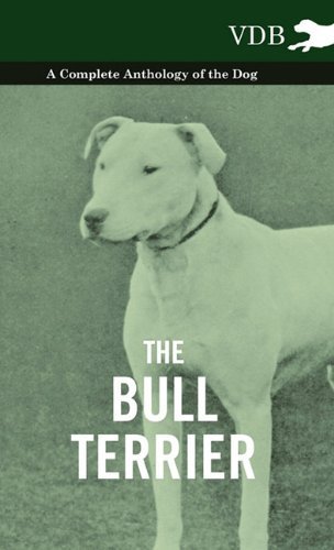 Cover for The Bull Terrier - a Complete Anthology of the Dog - (Innbunden bok) (2010)