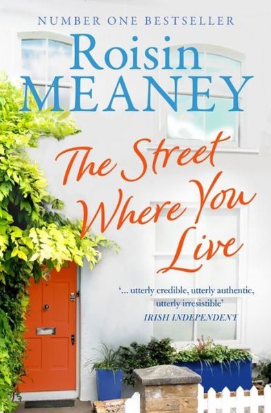 The Street Where You Live - Roisin Meaney - Książki - Hachette Books Ireland - 9781473643000 - 8 czerwca 2017