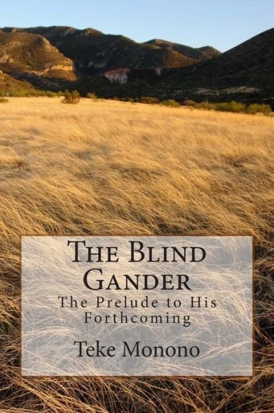 Cover for Teke Monono · The Blind Gander: the Prelude to His Forthcoming (Pocketbok) (2012)