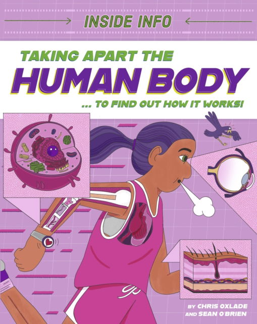 Cover for Chris Oxlade · Inside Info: Taking Apart the Human Body: ... to find out how it works! - Inside Info (Hardcover Book) (2025)