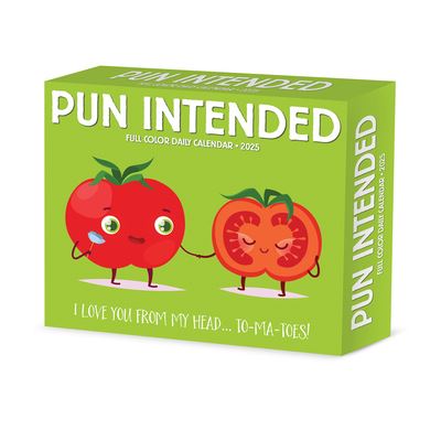 Willow Creek Press · Pun Intended 2025 6.2 X 5.4 Box Calendar (Kalender) (2024)