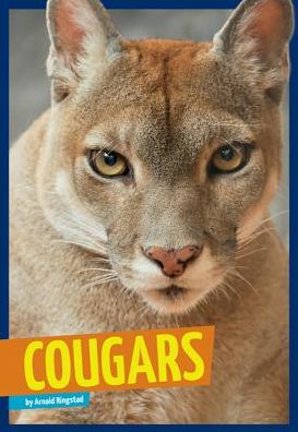 Cover for Arnold Ringstad · Cougars (Wild Cats) (Hardcover Book) (2014)