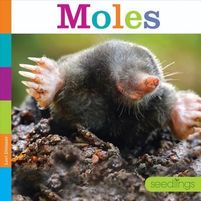 Cover for Lori Dittmer · Moles (Paperback Book) (2018)