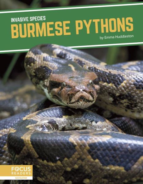 Cover for Emma Huddleston · Burmese Pythons - Invasive Species (Paperback Book) (2021)