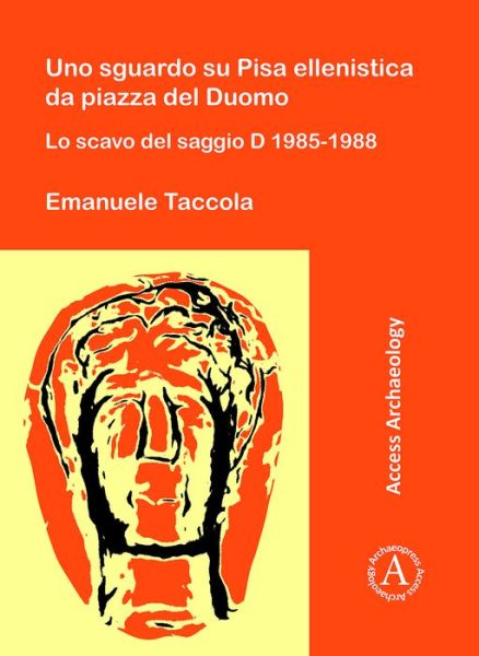 Cover for Emanuele Taccola · Uno sguardo su Pisa ellenistica da piazza del Duomo: Lo scavo del saggio D 1985-1988 (Paperback Book) (2019)