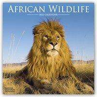 African Wildlife 2021 Wall Calendar - Avonside Publishing Ltd - Merchandise - Avonside Publishing Ltd - 9781839410000 - July 6, 2020