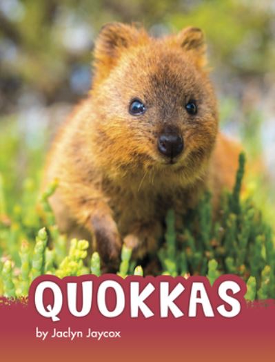 Quokkas - Jaclyn Jaycox - Books - PEBBLE BOOKS - 9781977132000 - August 1, 2021