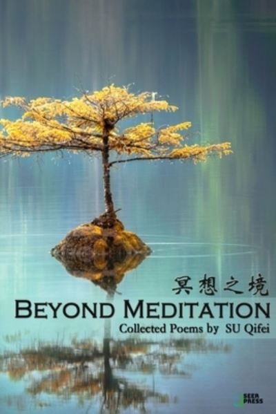 Cover for Qifei Su · Beyond Meditation (Paperback Bog) (2020)