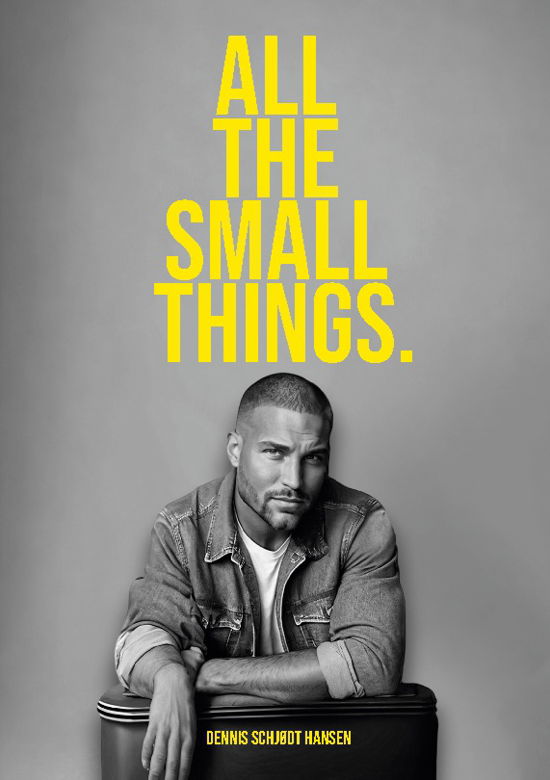 Cover for Dennis Schjødt Hansen · All the Small Things (Paperback Book) [1e uitgave] (2024)