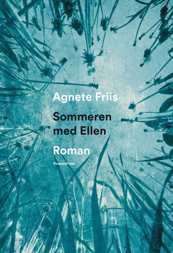 Cover for Agnete Friis · Sommeren med Ellen (Hæftet bog) [1. udgave] (2017)