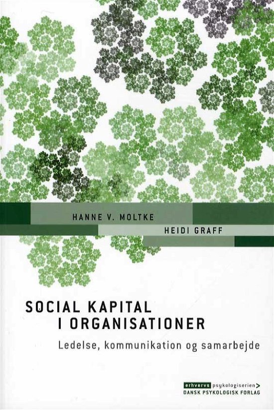 Cover for Heidi Graff Hanne V. Moltke · Erhvervspsykologiserien: Social kapital i organisationer (Poketbok) [1:a utgåva] (2014)