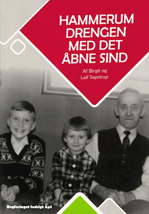 Cover for Birgit og Leif Sepstrup · Hammerum Drengen Med Det Åbne Sind (Paperback Book) [1st edition] (2021)