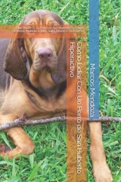 Cover for Marcos Mendoza · Como Lidiar Con Un Perro de San Huberto Hiperactivo (Taschenbuch) (2021)
