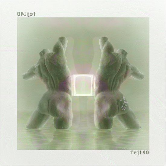 Cover for Fejl40 (LP/BOG) (2019)