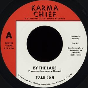 Cover for Pale Jay &amp; Okonski · By The Lake (blue) (LP) [Coloured edition] (2023)