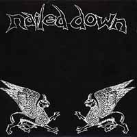 Cover for Nailed Down / Ruido · Split (LP) (2018)