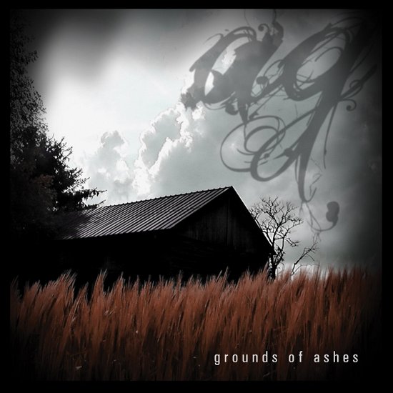 Cover for Andreas Gross · Grounds Of Ashes (LP) (2012)