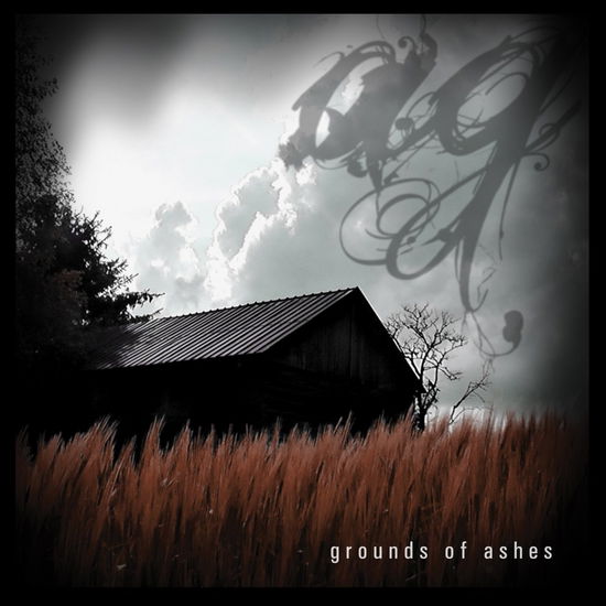 Cover for Andreas Gross · Grounds Of Ashes (LP) (2012)