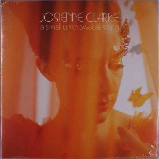 A Small Unknowable Thing - Josienne Clarke - Muziek - CORDUROY PUNK RECORDS - 5070000210001 - 17 december 2021