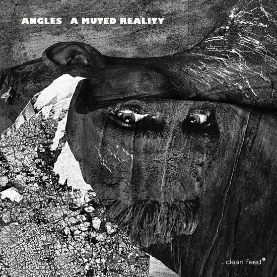 Cover for Angles · A Muted Reality (CD) (2022)