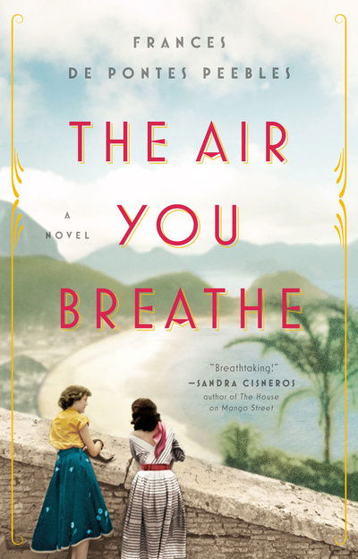 Cover for Frances De Pontes Peebles · The Air You Breathe: A Novel (Paperback Book) (2019)