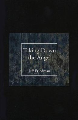 Cover for Jeff Friedman · Taking Down the Angel (Hardcover Book) (2003)