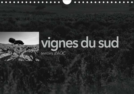 Cover for Perrin · VIGNES DU SUD terroirs d'AOC (Ca (Book)