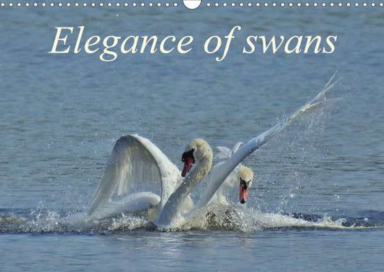 Elegance of swans (Wall Calenda - Schaack - Kirjat -  - 9781325574001 - 