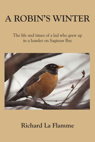 Cover for Carole Beighey · A Robin's Winter: the Life and Times of a Lad Who Grew Up in a Hamlet on Saginaw Bay (Paperback Book) (2006)