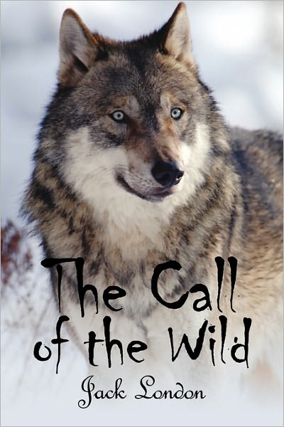 The Call of the Wild - Jack London - Livros - Simon & Brown - 9781613820001 - 4 de março de 2011