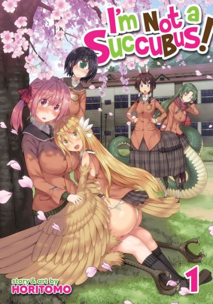 Monster Musume Vol. 17: Okayado: 9781648279287: : Books