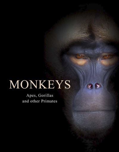 Cover for Tom Jackson · Monkeys: Apes, Gorillas and other Primates - Animals in Photographs (Hardcover Book) (2021)