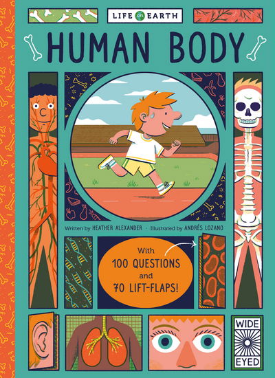 Cover for Heather Alexander · Life on Earth: Human Body: With 100 Questions and 70 Lift-flaps! - Life on Earth (Board book) (2017)