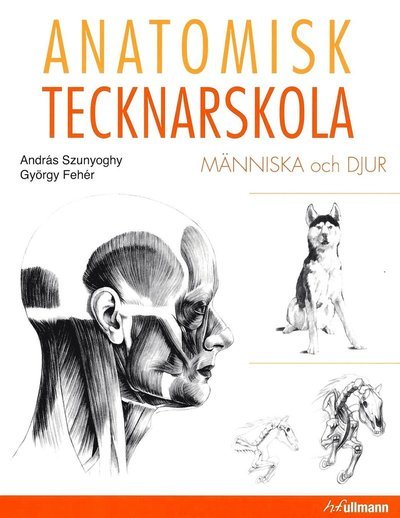 Cover for György Fehér · Anatomisk tecknarskola : människa och djur (Bog) (2016)