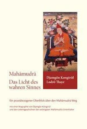 Cover for DjamgÃ¶n KongtrÃ¼l LodrÃ¶ Thaye · Das Licht des wahren Sinnes (Hardcover Book) (2014)