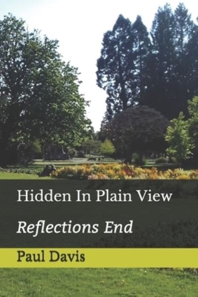 Cover for Paul Davis · Hidden In Plain View: Reflections End (Pocketbok) (2020)