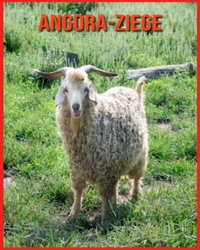 Cover for Linda Davis · Angora-Ziege (Paperback Book) (2021)