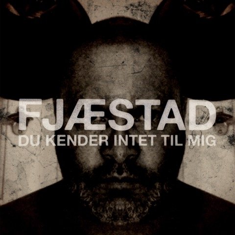Cover for Fjæstad · Du Kender Intet Til Mig (LP) (2015)