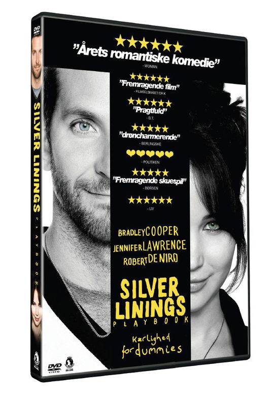 silver linings playbook dvd cover