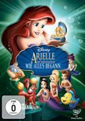 Cover for Arielle Die Meerjungfrau · Arielle Die Meerjungfrau - Wie Alles Begann (DVD) (2013)